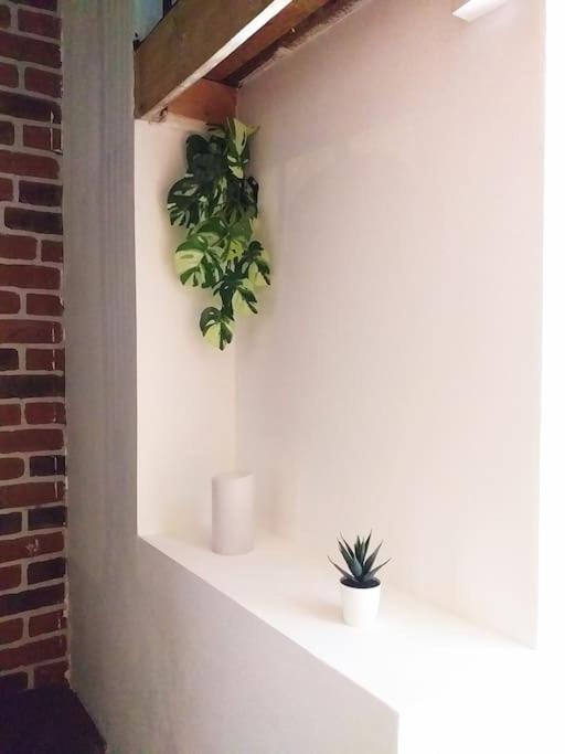 グルノーブルLe Paisible - Gare - Duplex - Garage Prive - Netflixアパートメント エクステリア 写真
