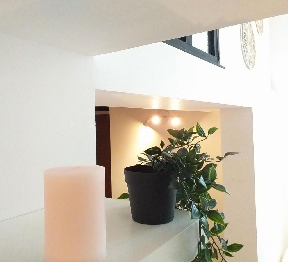 グルノーブルLe Paisible - Gare - Duplex - Garage Prive - Netflixアパートメント エクステリア 写真